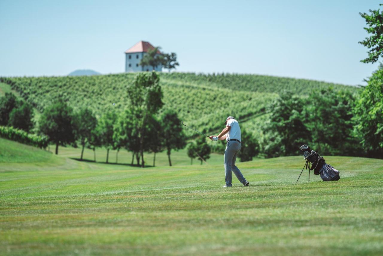 Wine Grower'S Mansion Zlati Gric Apartment Slovenske Konjice Екстериор снимка