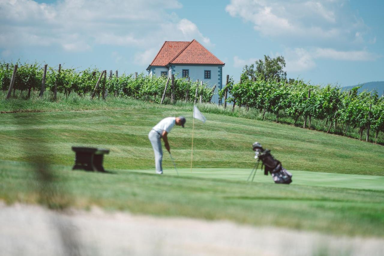 Wine Grower'S Mansion Zlati Gric Apartment Slovenske Konjice Екстериор снимка