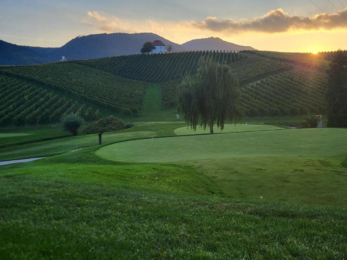 Wine Grower'S Mansion Zlati Gric Apartment Slovenske Konjice Екстериор снимка