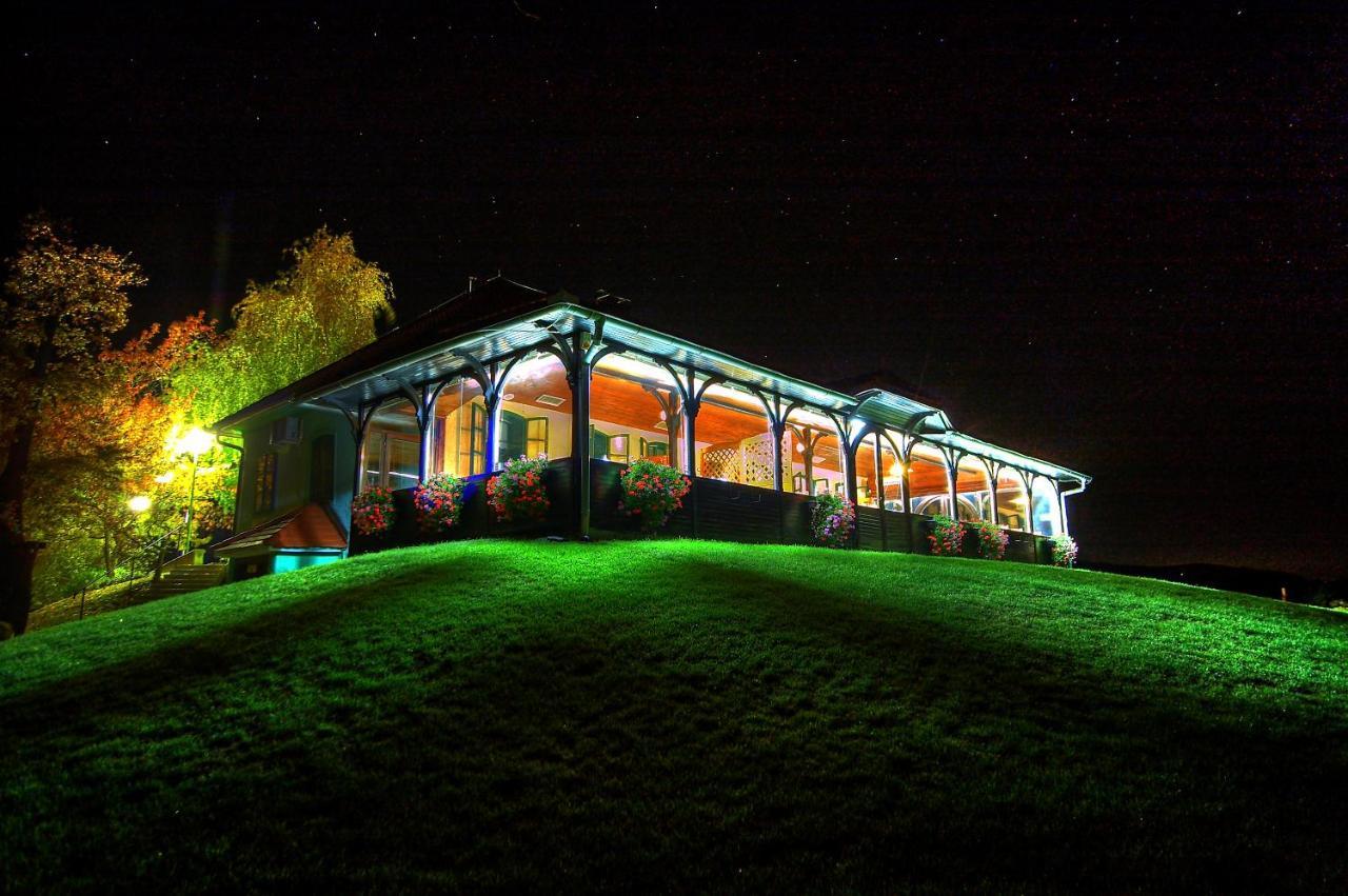Wine Grower'S Mansion Zlati Gric Apartment Slovenske Konjice Екстериор снимка