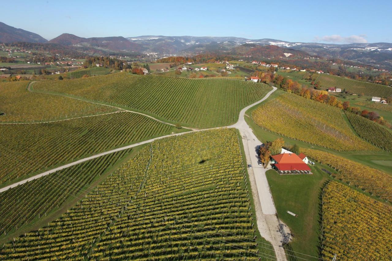 Wine Grower'S Mansion Zlati Gric Apartment Slovenske Konjice Екстериор снимка