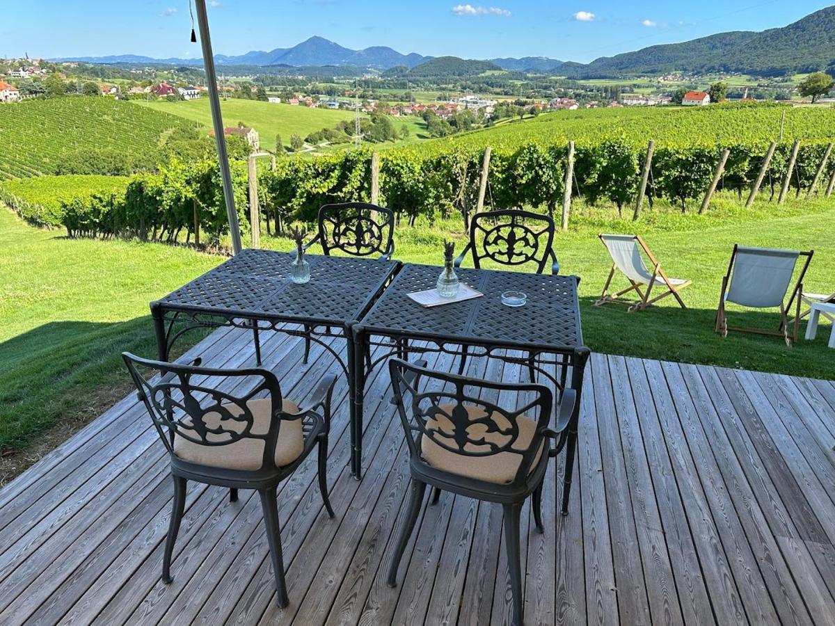 Wine Grower'S Mansion Zlati Gric Apartment Slovenske Konjice Екстериор снимка