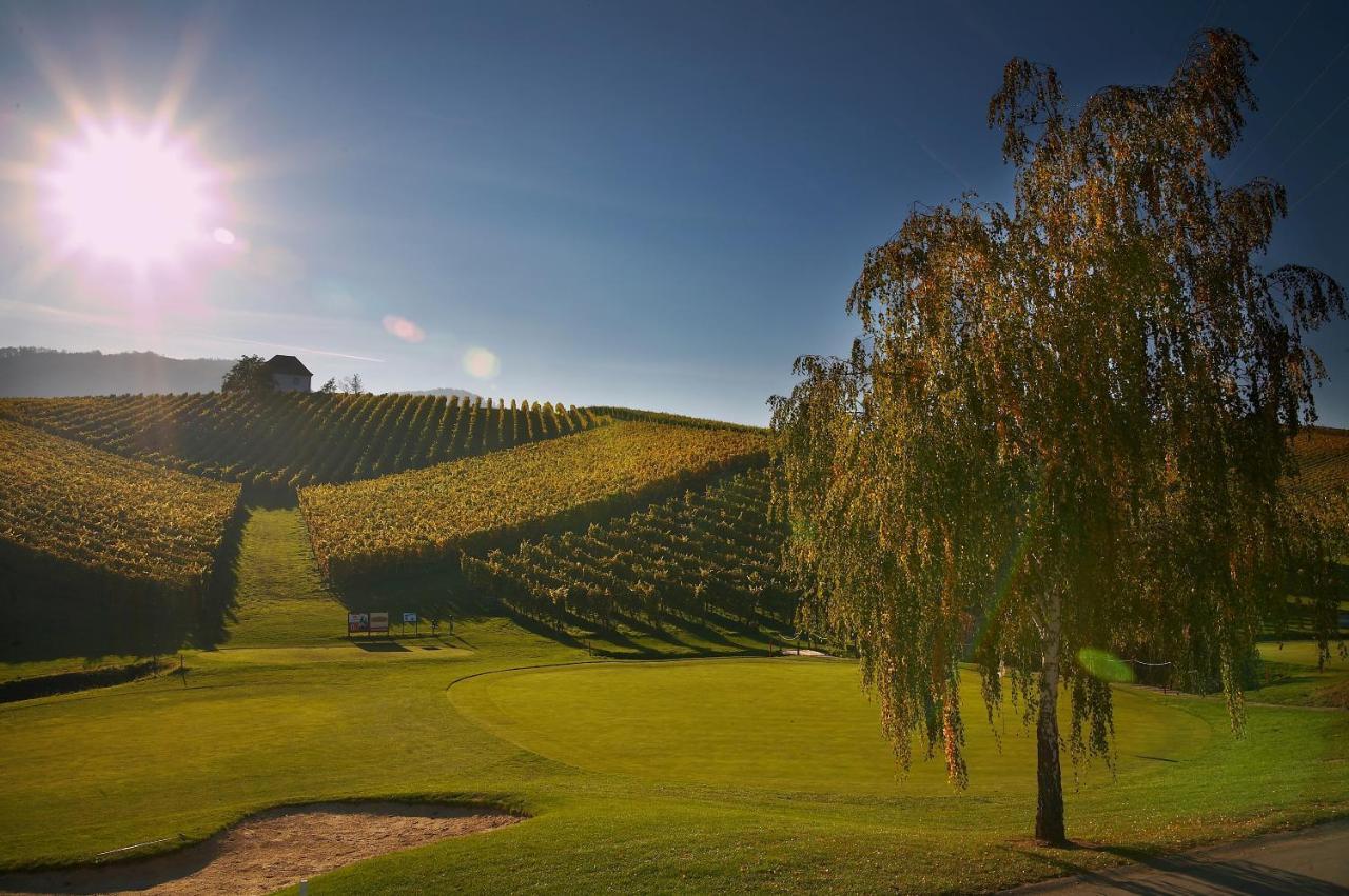 Wine Grower'S Mansion Zlati Gric Apartment Slovenske Konjice Екстериор снимка