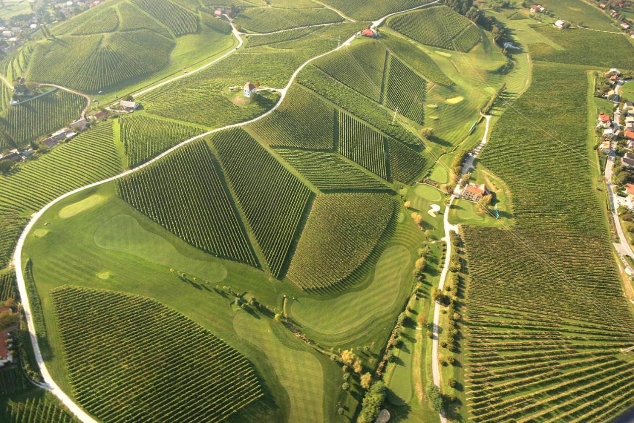 Wine Grower'S Mansion Zlati Gric Apartment Slovenske Konjice Екстериор снимка