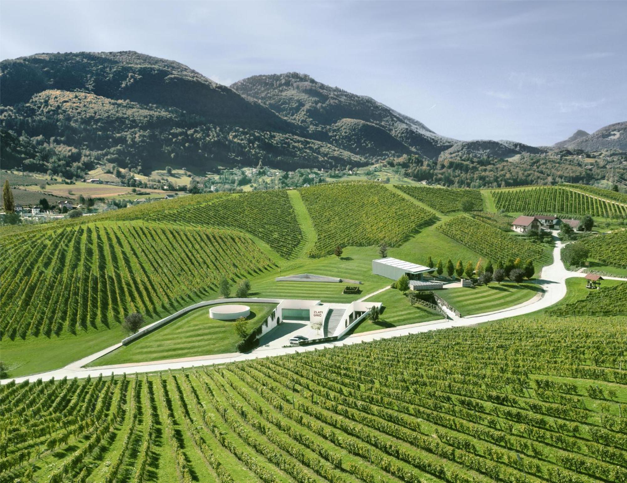 Wine Grower'S Mansion Zlati Gric Apartment Slovenske Konjice Екстериор снимка