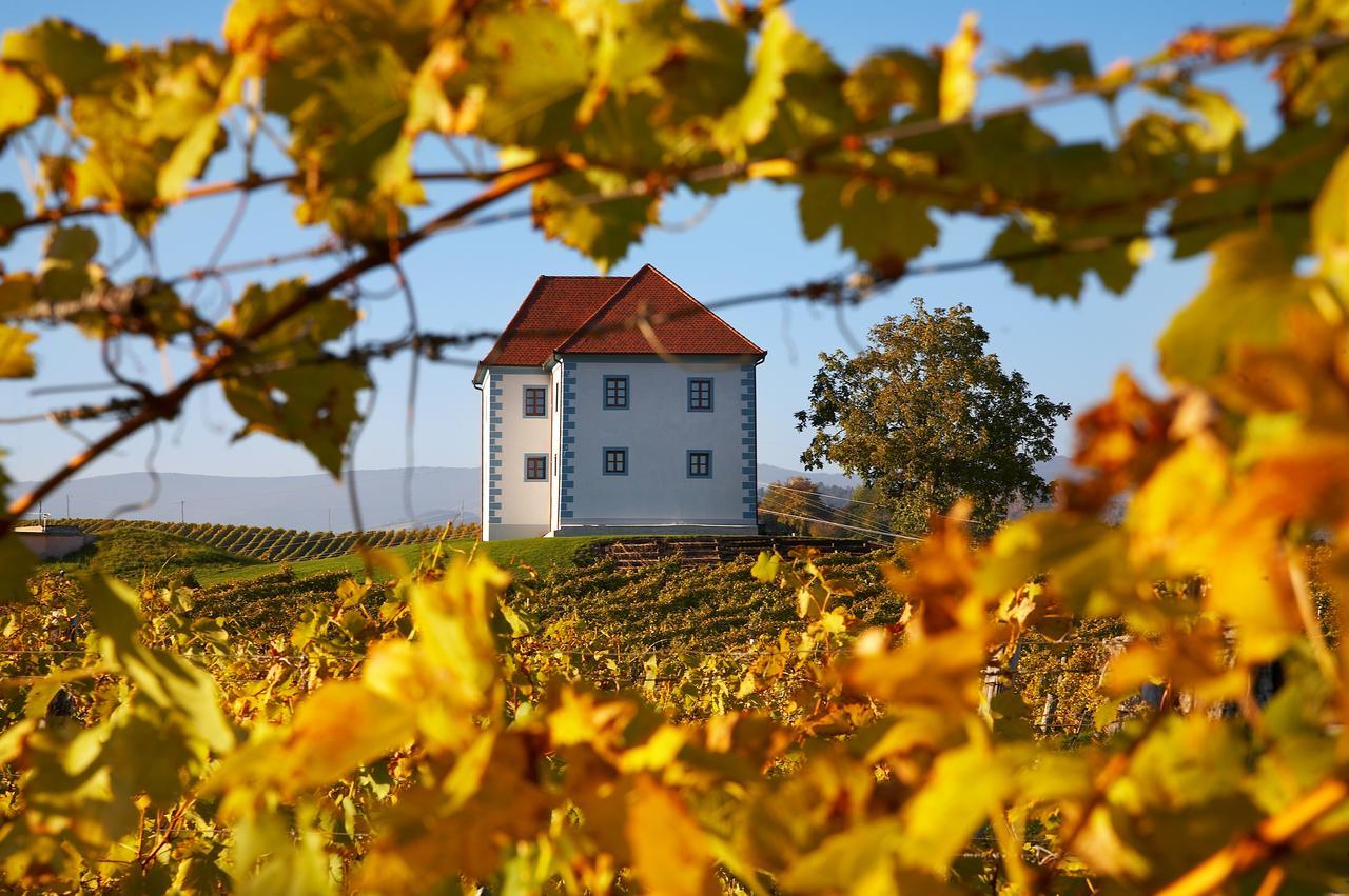 Wine Grower'S Mansion Zlati Gric Apartment Slovenske Konjice Екстериор снимка