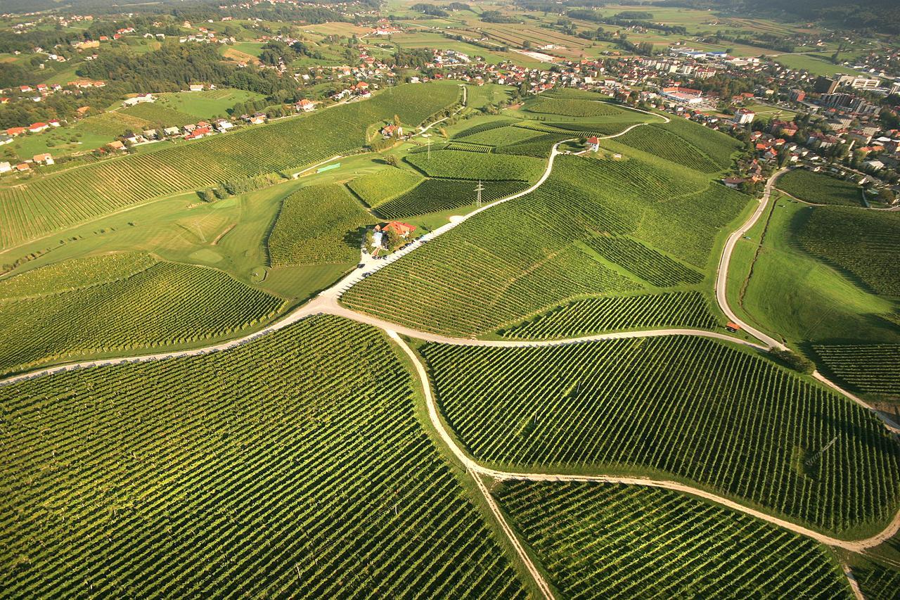 Wine Grower'S Mansion Zlati Gric Apartment Slovenske Konjice Екстериор снимка