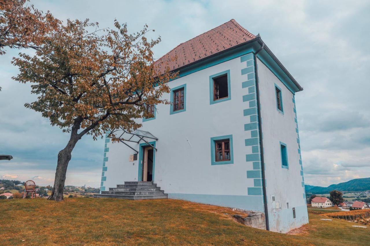 Wine Grower'S Mansion Zlati Gric Apartment Slovenske Konjice Екстериор снимка