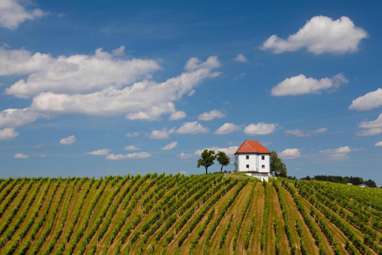 Wine Grower'S Mansion Zlati Gric Apartment Slovenske Konjice Екстериор снимка